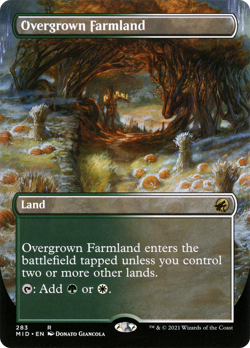 Overgrown Farmland (Borderless) Innistrad: Midnight Hunt Near Mint Foil - Image 1
