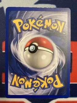 Pokemon Base Set Shadowless Charmander & Charmeleon, Unlimited Charizard Holo - Image 5