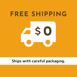 PSA 10 Venusaur Charizard Blastoise Set CLL 003/032 Pokemon Classic Collection - Image 3