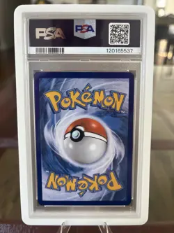 Torchic #12 PSA 10 (pop 4!) Furious Fists 2014 Non-holo Pokemon TCG - Image 2