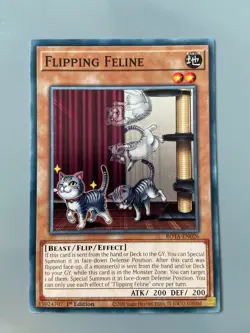 Flipping Feline - 1st Edition Common ROTA-EN026 Yugioh - Image 1