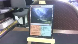 wooded foothills mtg - Image 1