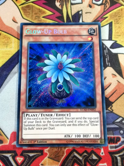 Glow-Up Bulb lc5d-en092 1st Edition (NM/VLP) Secret Rare Yu-Gi-Oh! - Image 1