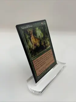 Natural Order Visions 1996 Near Mint Mtg Magic The Gathering Terese Nielsen - Image 2