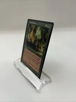 Natural Order Visions 1996 Near Mint Mtg Magic The Gathering Terese Nielsen - Image 3