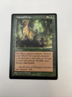 Natural Order Visions 1996 Near Mint Mtg Magic The Gathering Terese Nielsen - Image 5