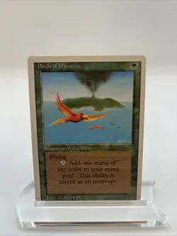 Birds Of Paradise Revised Edition 1994 Very Good Mtg Magic The Gathering Poole - Image 1