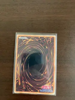 PSA10 Black Rose Dragon QCAC-JP003 Quarter Century SR Yu-Gi-Oh Card 2025 Japan - Image 2