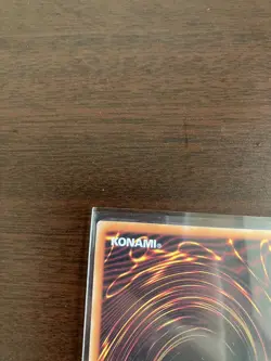 PSA10 Black Rose Dragon QCAC-JP003 Quarter Century SR Yu-Gi-Oh Card 2025 Japan - Image 4