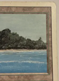 Tropical Island Revised MP Moderately Played MTG Magic the Gathering Dual Land - Image 3