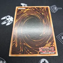 Level Eater SDSE-EN017 1st Edition Common LP Light Play YuGiOh! Card - Image 5