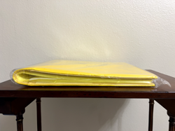 US SELLER Pokemon Jolteon 480 Slot Card Binder from Chinese Eevee Gift Box - Image 5