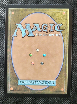 Soul Warden (Borderless - LP) - MtG: Duskmourn - Special Guests #65 - Image 2