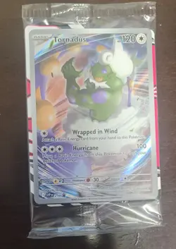 Pokemon White Flare ETB EMPTY -Promo, 150 COMMONS & 50 HOLO/REVERSE *NO PACKS* - Image 2