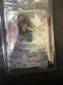 Pokemon Sealed Promo Lot (17 Total) - Image 3
