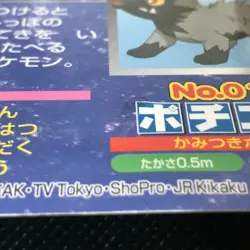 Poochyena Sentret Pokemon Advanced generation Card Japan Pocket Monsters F/S - Image 4