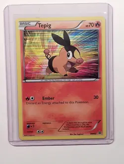 Pokemon TCG - Tepig BW02 - Holo Rare (2011) Black & White Black Star Promo - Exc - Image 1