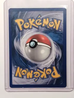 Pokemon TCG - Tepig BW02 - Holo Rare (2011) Black & White Black Star Promo - Exc - Image 2