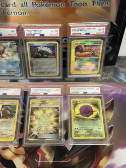 Lot Of 8 Pokemon Slabs All PSA 8-9, 1st edition, Vintage, Expedition, Skyridge - Image 5