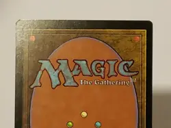 MTG Rootwalla Tempest Regular Common Magic - Image 5