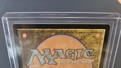 Magus Sisters Endurance Foil Borderless Card NM MTG Secret Lair #7008 FF - Image 2