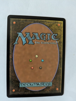 French Necroskitter Eventide MTG NM Free shipping with tracking - Image 2