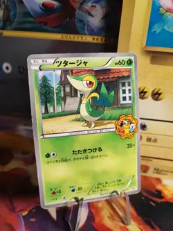 Pokemon Karte Card Snivy Bw Promo Pokemon Center Serpifeu IT Yokad japanese Exc- - Image 1
