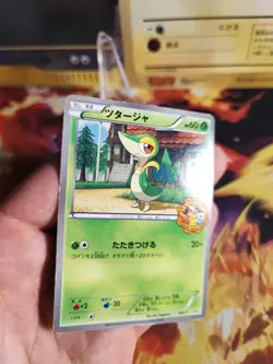 Pokemon Karte Card Snivy Bw Promo Pokemon Center Serpifeu IT Yokad japanese Exc- - Image 2