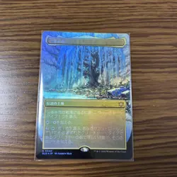 MTG Sanpongi City Winter Borderless Foil Collectible Card - Image 1