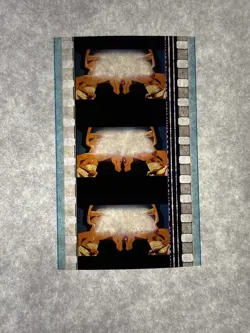 Authentic Pokemon Film 35mm - 2x Cells Charizard The First Movie 2000 - Image 1