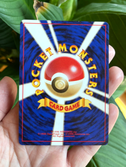Pokemon Japanese Red/Green Starter Gift Set Articuno Holo No. 144- US Seller - Image 4