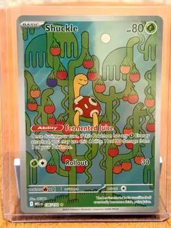 Shuckle 136/132 Ilustration Rare Pokemon TCG ME01: Mega Evolution - Near mint - Image 1