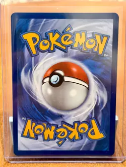 Shuckle 136/132 Ilustration Rare Pokemon TCG ME01: Mega Evolution - Near mint - Image 2