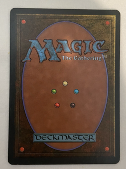 1x Koskun Falls Homelands MTG Magic the Gathering LP - Image 2