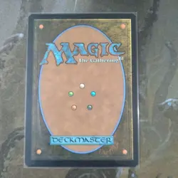 MTG Spider Punk SPМ Card 4-Piece Set Used Collectible - Image 4