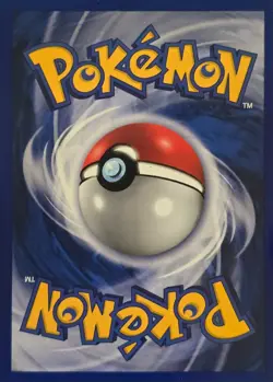 Wizards Birthday Pikachu Original Owner Vintage Pokemon TCG Black Star Promo 24 - Image 5