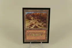 MTG \ Plateau (NM) // International Edition - 341 Trading - Magic - Image 1