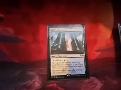 1x MTG Hallowed Fountain - Ravnica Allegiance (RNA) LP - Image 1
