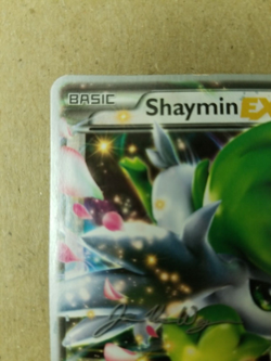 Pokemon Shaymin EX World Championships 2015 77/108 HP/DMG - Image 2