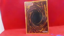 D.D. Warrior Lady (Secret Rare) 1st Ed Secret Rare SGX1-ENE04 Yu-Gi-Oh - Image 2