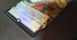 Channel Japanese Art Collector Booster Foil NM Japanese MTG - Image 4