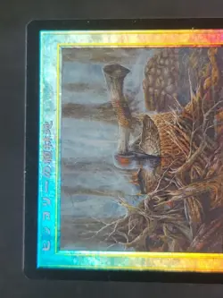 MTG Hickory Plants MMQ Japanese Foil Double Card Used - Image 3