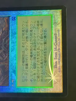 MTG Hickory Plants MMQ Japanese Foil Double Card Used - Image 4