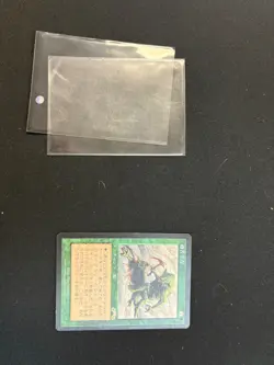 MTG Survival of the Fittest Japanese Exodus LP Reserved List Vintage Rare ② - Image 1