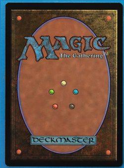 Sakashima of a Thousand Faces Commander Legends NM CARD (504222) ABUGames - Image 2