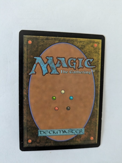 Wooded Bastion Shadowmoor MTG Exc Fre shipping with tracking - Image 2
