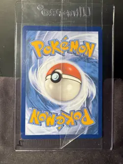 Scream Tail SVP EN 065 Paradox Rift Black Star Pokemon Promo SEALED - Image 4