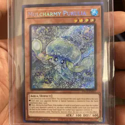 Mulcharmy Purulia Yu-Gi-Oh (Aqua/Effect) INFO-EN027 The Infinite Forbidden - Image 1