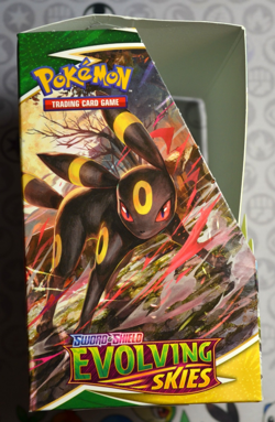 Pokemon Evolving Skies Empty Booster Box For Display ONLY No Packs Or Cards - Image 2