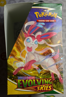 Pokemon Evolving Skies Empty Booster Box For Display ONLY No Packs Or Cards - Image 4